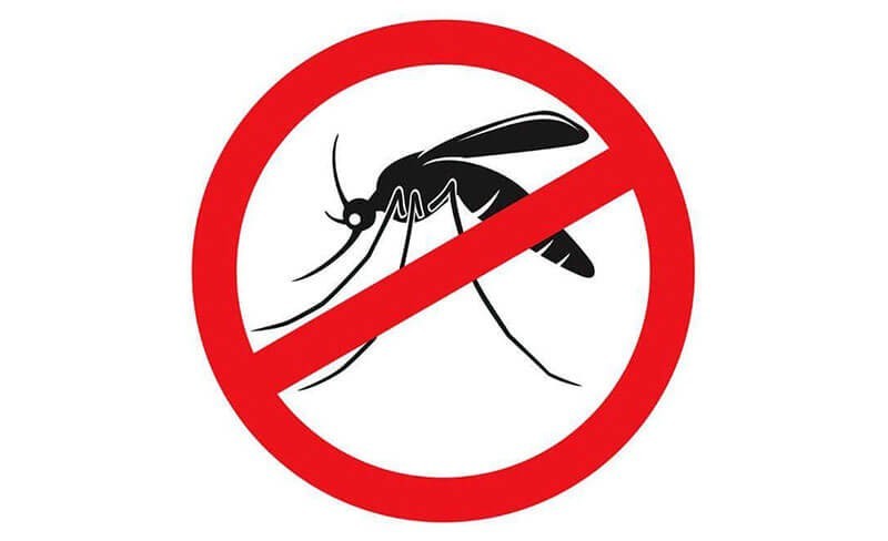 Появление комаров